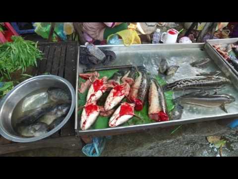 Video: V Číně Naléhavě Operovali Muže, Který Strčil Dvě živé Ryby Do Jeho Konečníku - Alternativní Pohled