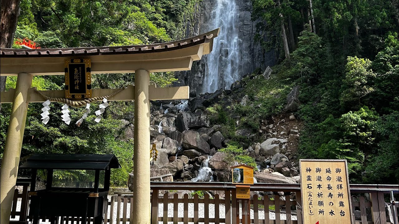 夏越の大祓直前!蘇りの地で魂の浄化!LIVE配信144#live配信