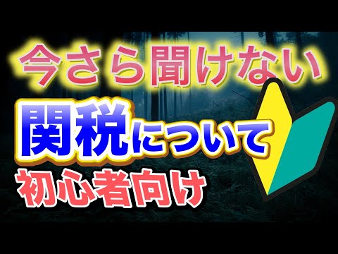 初心者向け【関税】とは...！！一体何...?