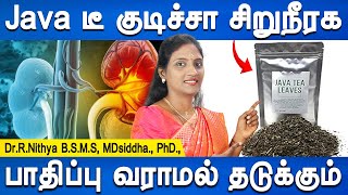 இப்படி செஞ்சாலே BP கண்ட்ரோல் ஆகும் | Java tea benefits | Kidney health prevent tips | Doctor plus