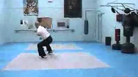 Bruce Currie's Fighting System The Dragon