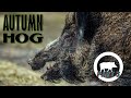 Best wild boar driven hunt - the real autumn hog hunt in Bulgaria - wild boar driven hunting part 3