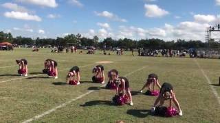 Fight Song Halftime Performance 10-15-2016