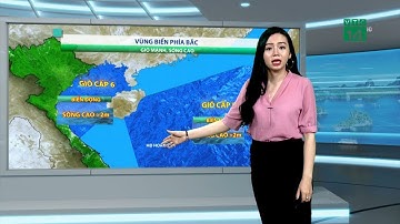 Thời tiết biển 09/06/2019: Phía Bắc vịnh Bắc Bộ độ cao sóng biển tăng trên 2m gây biển động | VTC14