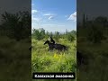 Казахская амазонка