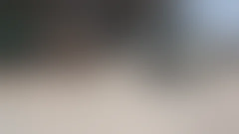 YEN TA / 233-W8/ HINO 1996 / K13C