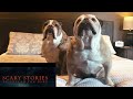 Elvis & Khaleesi Reaction “Scary Stories to Tell in the Dark” Official Trailer