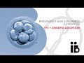 Pregnancy and childbirth guarantee. IVF   embryo adoption