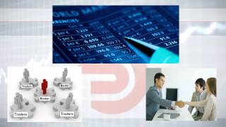 Участники рынка FOREX