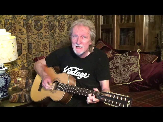 Step Into the Enchanting World of Vintage 12 String Guitars Master the Art of Playing Guitar and Play Like a Pro Step Into the Enchanting World of Vintage 12 String Guitars - Master the Art of Playing Guitar and Play Like a Pro
