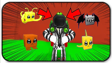 Getting The Dominus Praefectus With Other New Legendary Pets And Hats - Roblox Mining Simulator