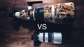 5 Wildlife Photography Hacks for Great Shots on Budget Gear!