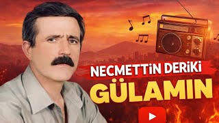 Necmetti̇n Deri̇ki̇ - Gülamın 2026