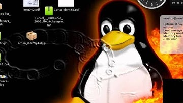 Ubuntu Linux 7.04 + Compiz Fusion