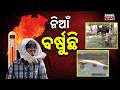 Odisha Weather Warning: 45°C Heatwave Triggers Mass Death of Cattle & Fish!