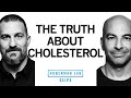The truth about dietary cholesterol  dr peter attia  dr andrew huberman