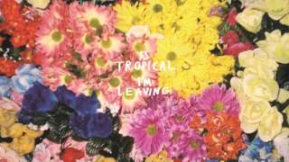 Is Tropical - All Night