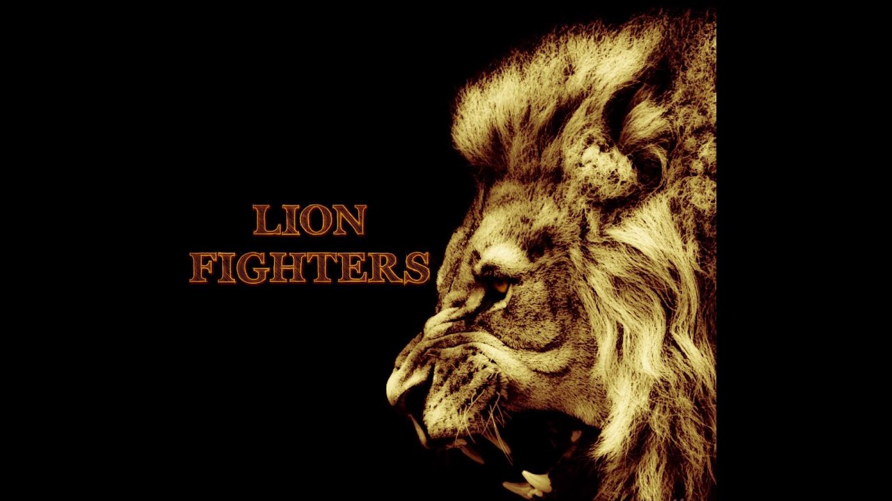 Martial Arts Lion Fighters YouTube