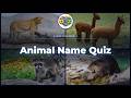 Missing Letters Safari: Can You Name the Animals? 🐾
