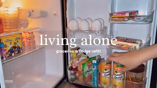 living alone in the Philippines — fridge refills, organizing groceries & adulthood realizations 👩 