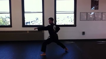 Pyung Ahn Cho Dan (full speed)