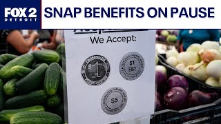 SNAP benefits pause in Michigan amid shutdown impacts