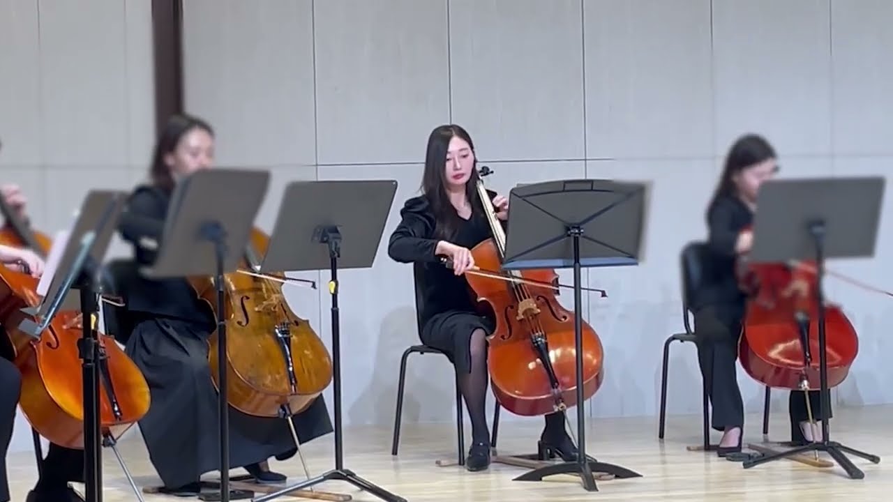 [취미첼로] Reality (La Boum OST) - V. Cosma