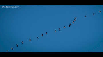 Transforming Your Relationship with Fear, Part 1 with Jonathan Foust