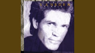 Video thumbnail of "David Sanborn - Try a Little Tenderness"
