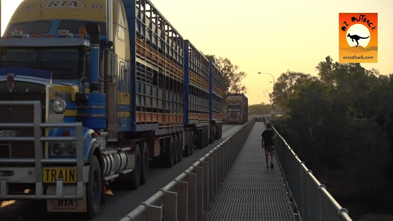 Extreme Trucks 17 Cattle Road Trains Of Australia Livestock Caminhao De Gado Na Australia Youtube