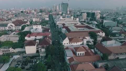 Ariel Noah for Greenlight Campaign 2016