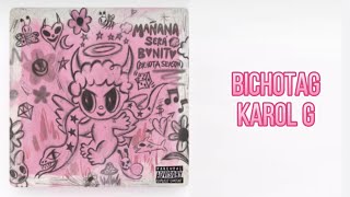 BICHOTAG - Karol G (Lyrics)