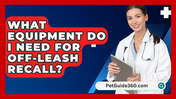 What Equipment Do I Need For Off-leash Recall? - PetGuide360.com