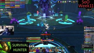 Siege of Orgrimmar 25 man - Survival Hunter PoV - Week 11 MoP Phase 5 - 8-17-26