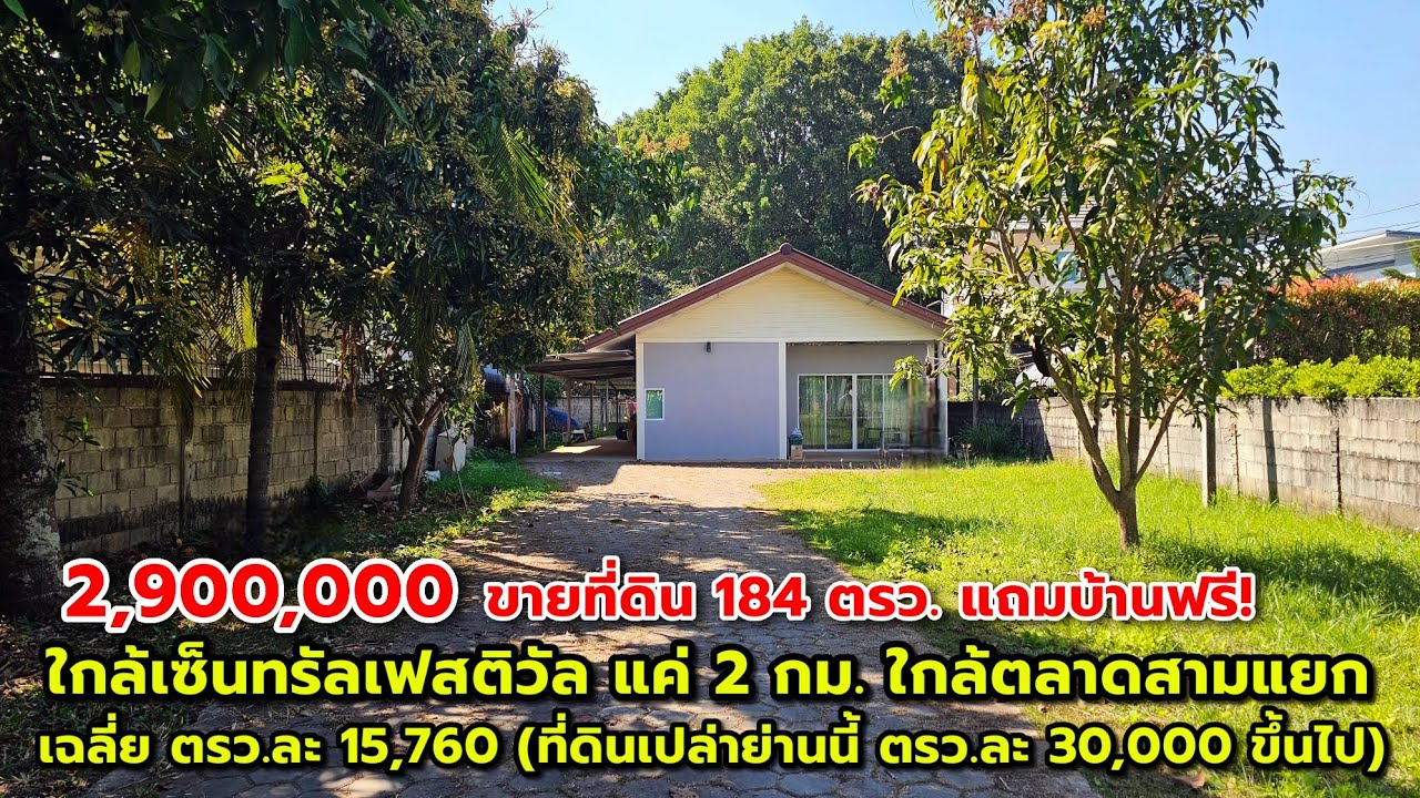 ขายที่ดินแถมบ้าน 184 ตรว. ใกล้เซ็นทรัลเฟสติวัล 2 กม. เฉลี่ย ตรว.ละ 15,760 (ที่เปล่าแถวนี้ 3หมื่น+)