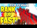 HOW TO RANK UP FAST IN COLD WAR! HOW TO LEVEL UP FAST COD BLACK OPS COLD WAR GET XP FAST AND LVL UP!