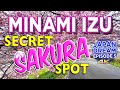 The Best Kept SECRET, Minami Izu | Japan Dream - Episode 5