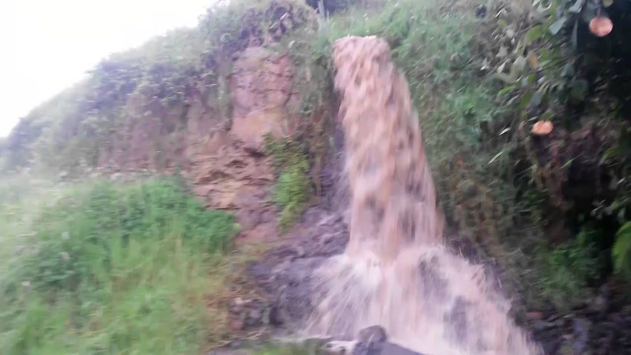 psicologia criminal universidades colombia Como es una fuente de agua despues de una lluvia
