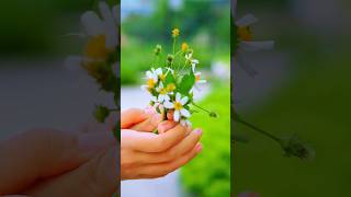 not Everything Ls Black Or White  choose Kindness shorts short short shortsfeed funny