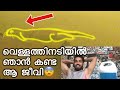 വെള്ളത്തിനടിയിൽ ക്യാമറ വച്ചപ്പോ കണ്ട ജീവി😨 | “River monster”caught on camera 🎥 | Kerala fishing 🎣