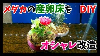 メダカの産卵床をオシャレに自作！卵トリーナ改造！？【Japanese Medaka】