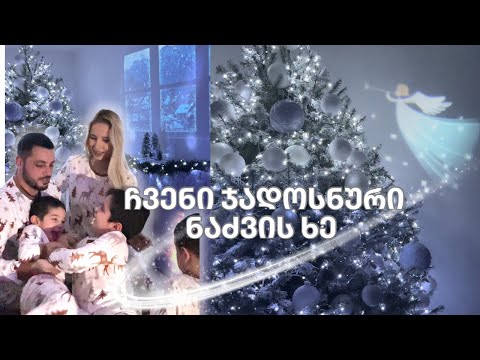 ჩვენი ჯადოსნური ნაძვის ხე | წინა საშობაო ვლოგი | ellene pei