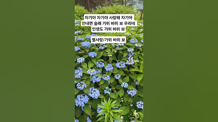우리네 인생도 가위바위보  #별사랑 #가위바위보 #현역가왕 #아침마당 #별사랑신곡 #shorts #수국