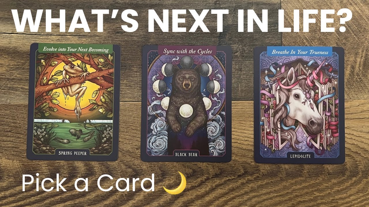 😍😱 What’s Next in Life!? 🥰🥹 tarot pick a card