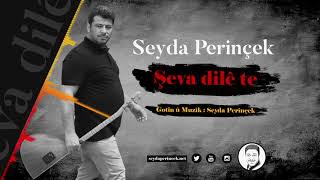 Seyda Periçek -şeva dilê te Resimi