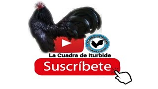 Suscribete a La Cuadra De Iturbide.!!