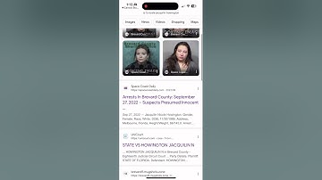 11.Assignment Internet Search and Video