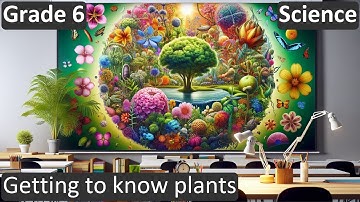 Grade 6 | Science | Getting to know plants | Free Tutorial | CBSE | ICSE | State Board