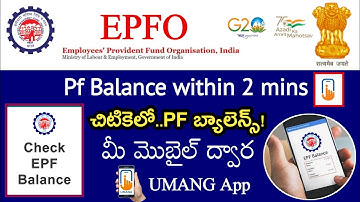 How to PF balance Check Online | Umang app PF balance Check #epfo