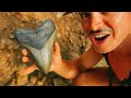 I found a GIANT MEGALODON tooth while hunting for shark teeth!
